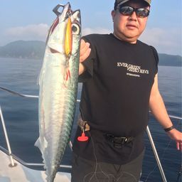 ゴマサバ