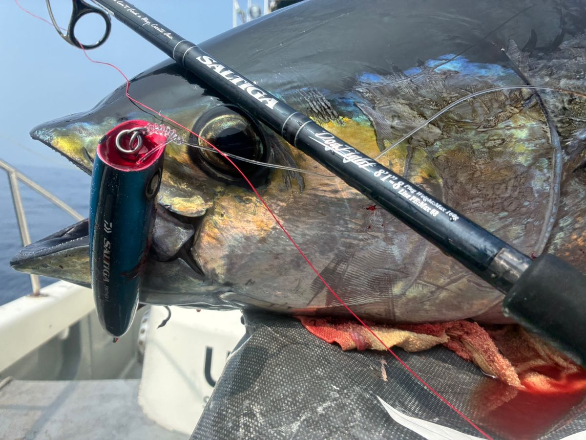 Golden Eagleさんの釣果 2枚目の画像