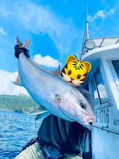 ヒレナガカンパチの釣果