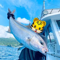 ヒレナガカンパチ