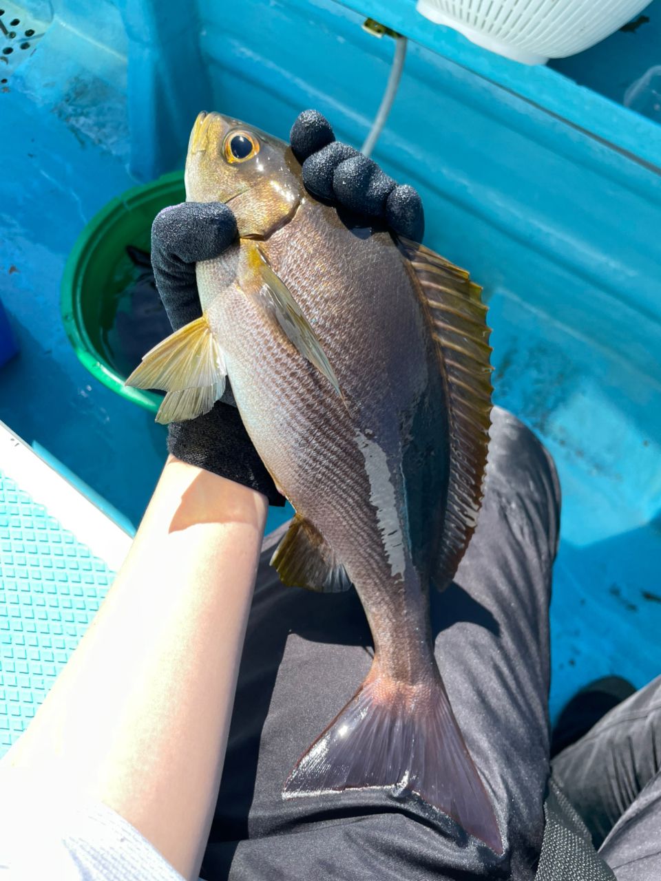 UMi𓇼𓆡𓆉さんの釣果 2枚目の画像