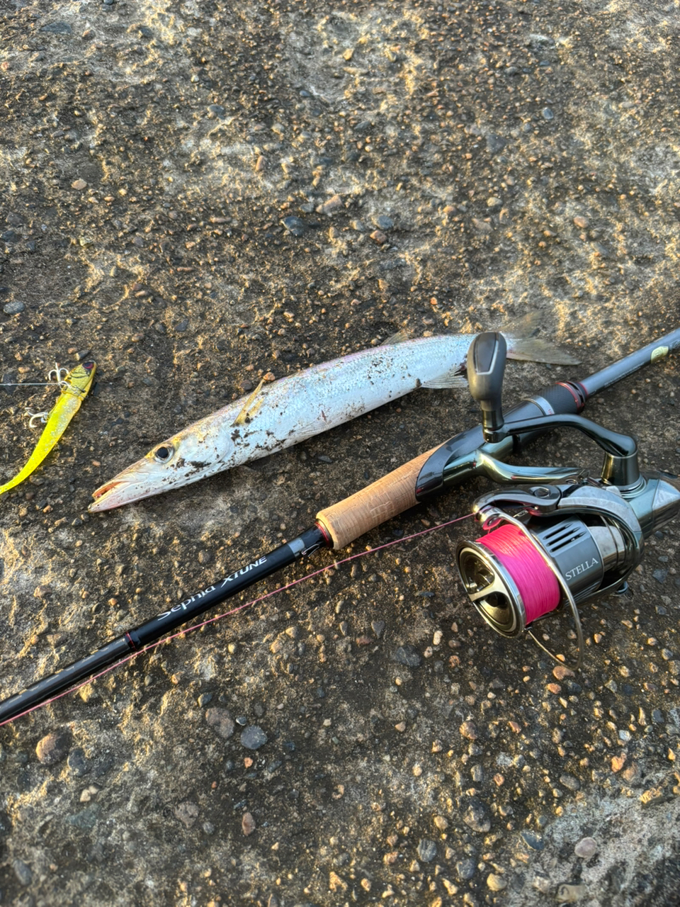 SHIMANO 20セフィア エクスチューン S82MLの最安値・インプレ
