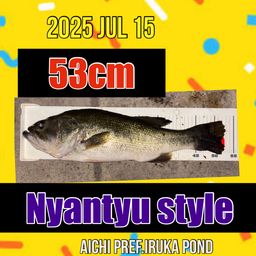 ラージマウスバス