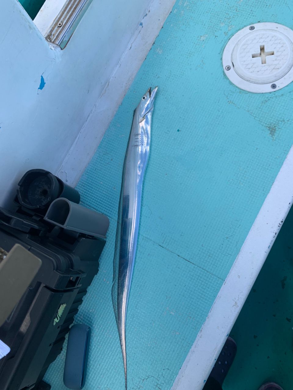 ゆと1982さんの釣果 1枚目の画像