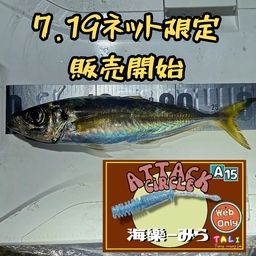 チヌ