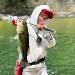 ラージマウスバス