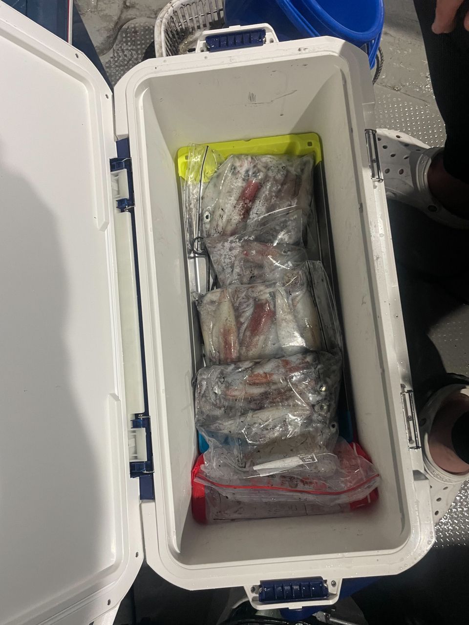 田畑良朗@なつき丸さんの釣果 2枚目の画像