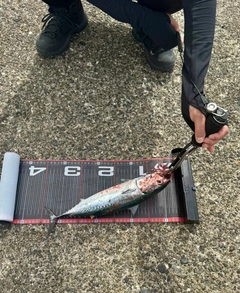 釣果