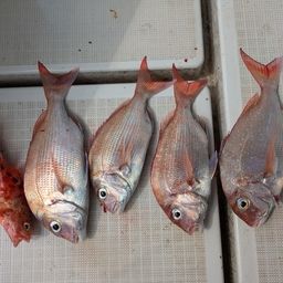 タイ