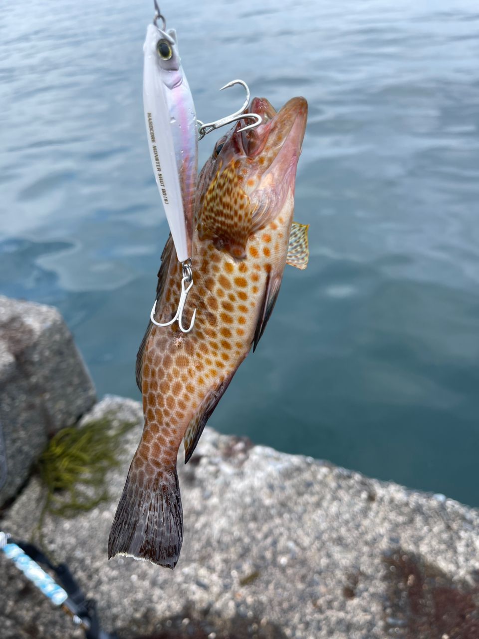 SHIMANO 23ルアーマチック（ソルトルアー推奨モデル） S86MLの最