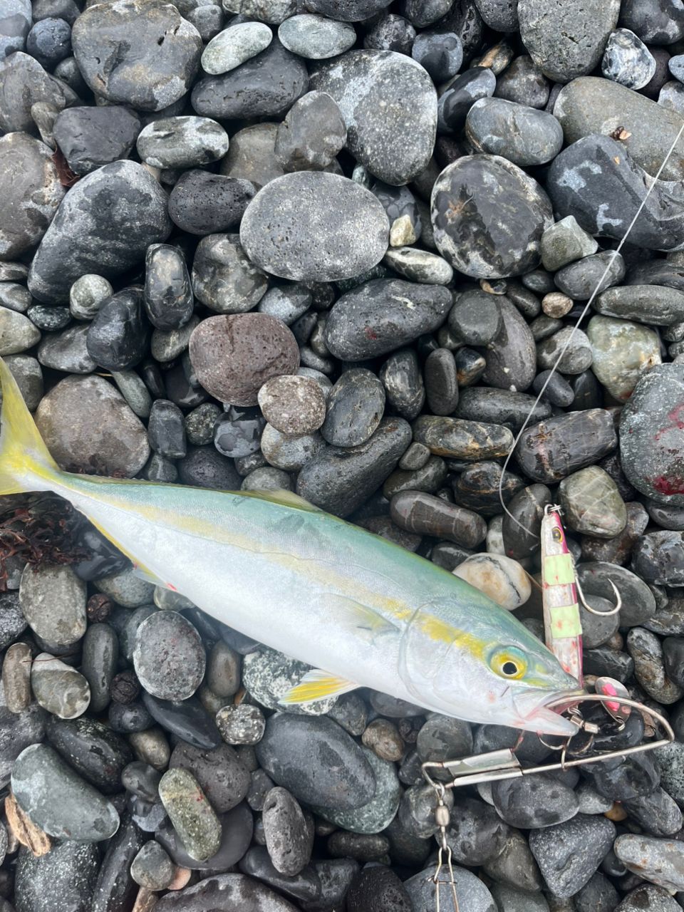 AbuGarcia ソルティースタイルショアジギング STJS-1032H-KRの最