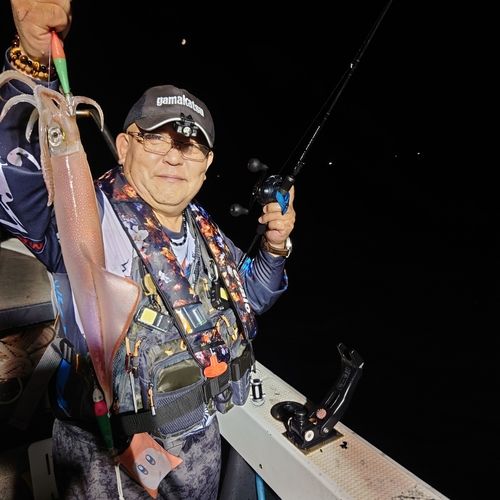 ヤリイカの釣果