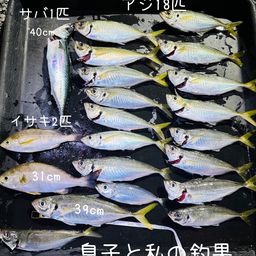 イサキ