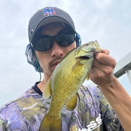 スモールマウスバス