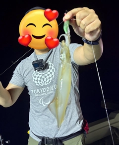 アカイカの釣果