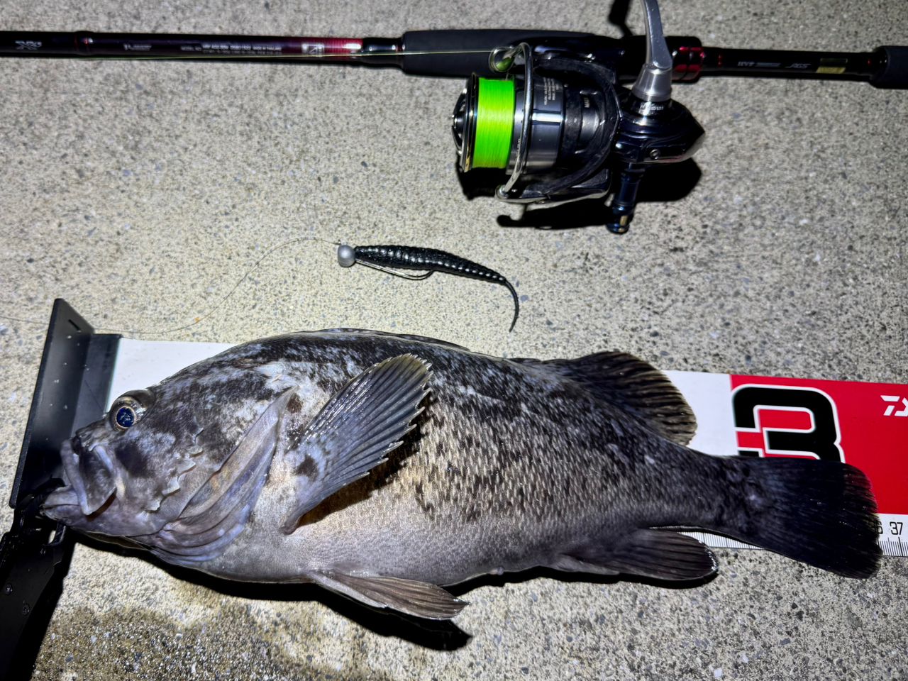 DAIWA HRF® (ハードロックフィッシュ) AGS 2019年モデルの最安値