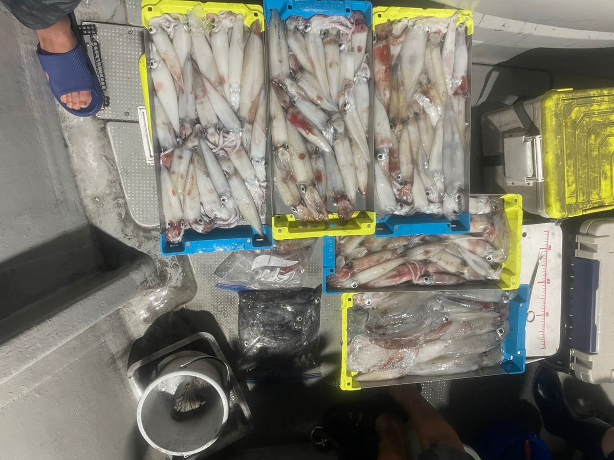 田畑良朗@なつき丸さんの釣果 2枚目の画像