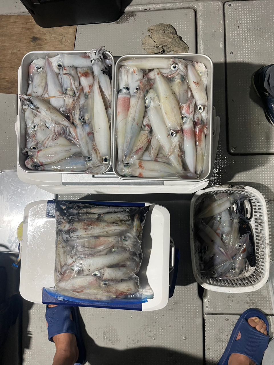 田畑良朗@なつき丸さんの釣果 3枚目の画像