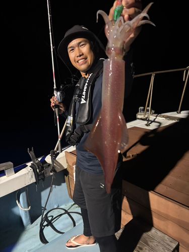 ケンサキイカの釣果