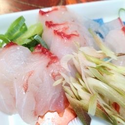 チヌ