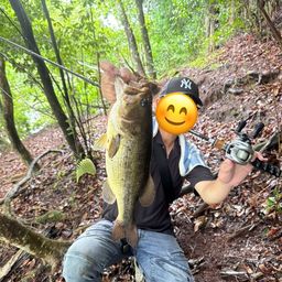 ラージマウスバス