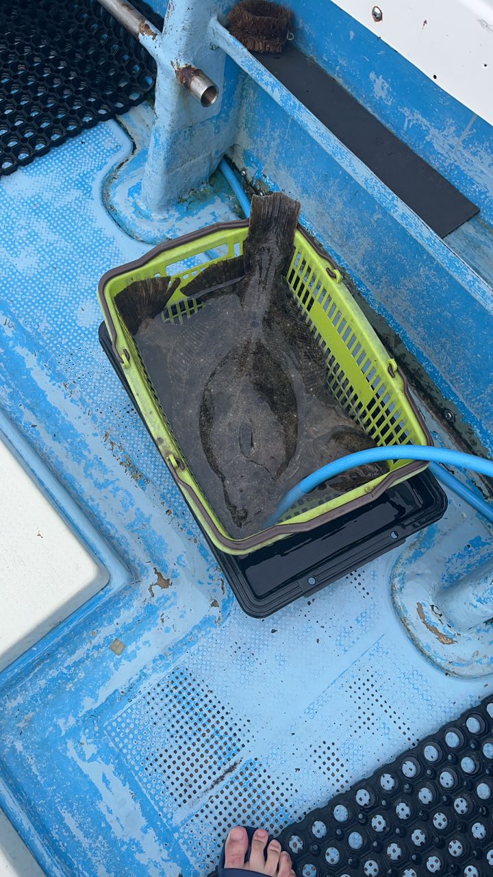 M4rU坊さんの釣果 2枚目の画像