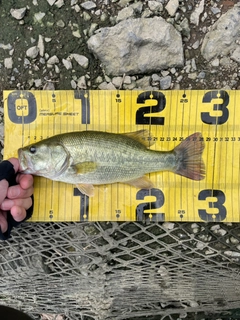 釣果