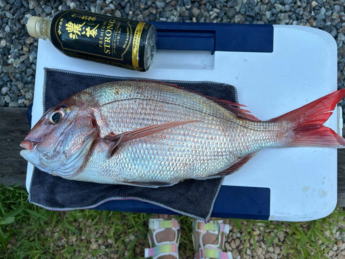 釣り吉どん兵衛さんの釣果 2枚目の画像