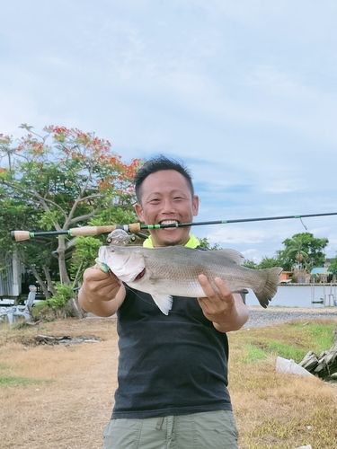 釣果