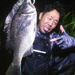 チヌ
