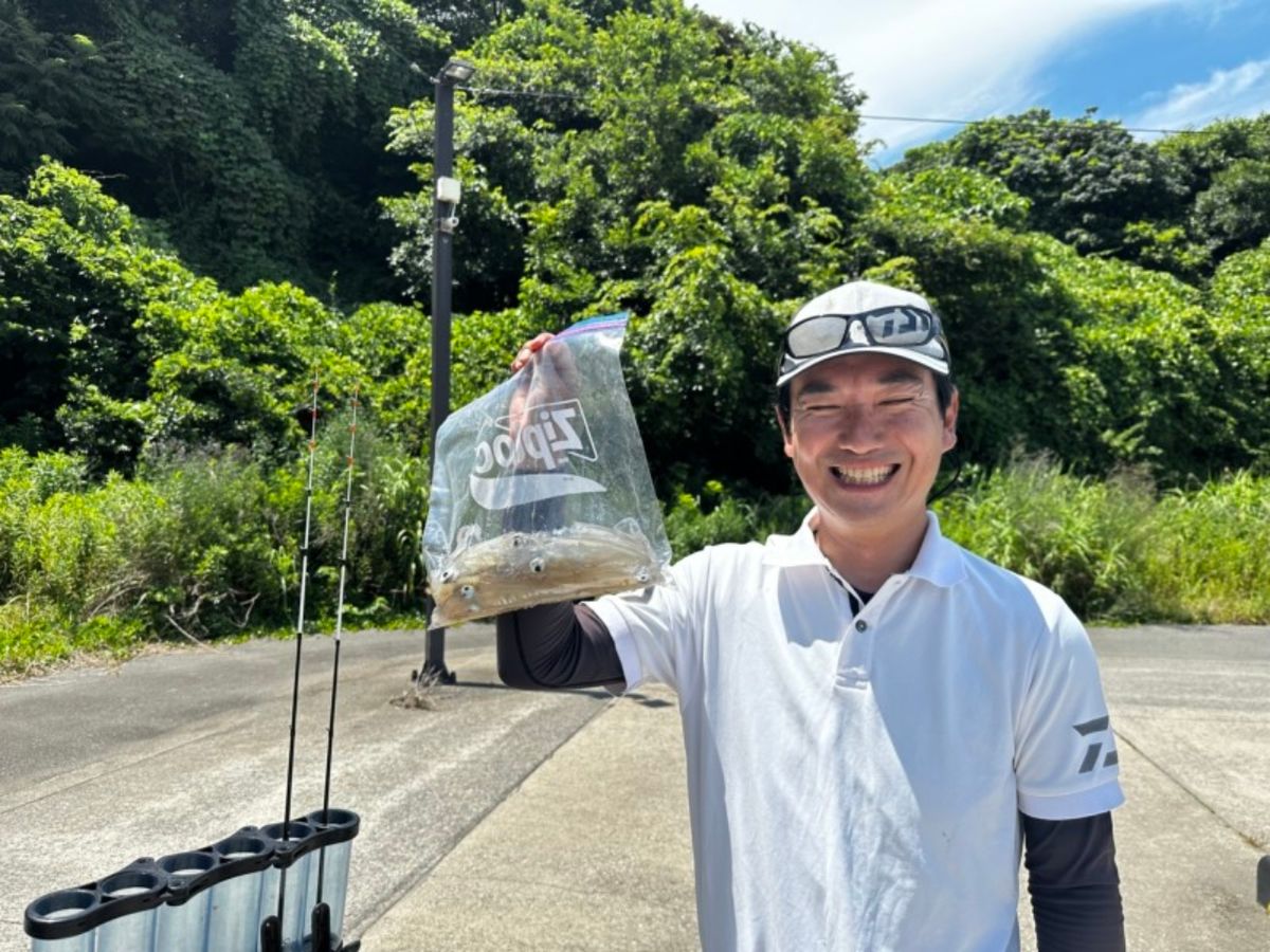 イカ時々魚さんの釣果 2枚目の画像