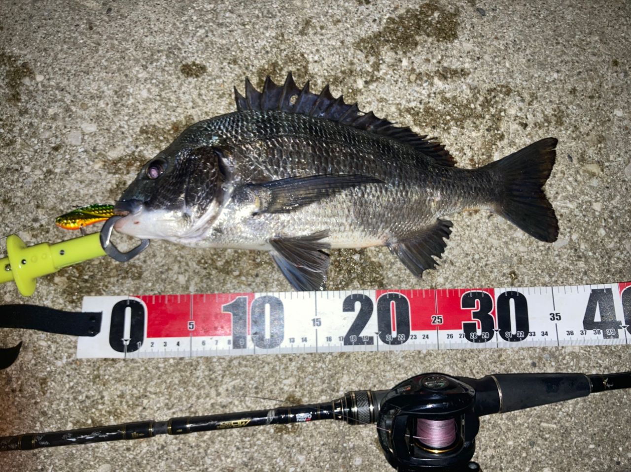 AbuGarcia クロスフィールド XRFC-704M-MBの最安値・インプレ