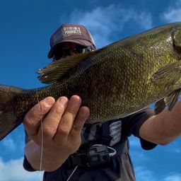 スモールマウスバス