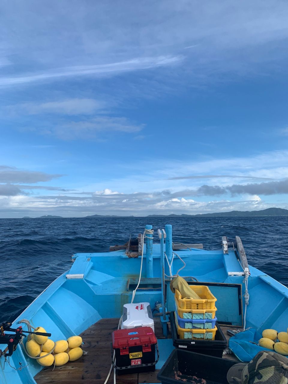 aokさんの釣果 2枚目の画像