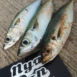アジ