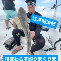 マゴチ