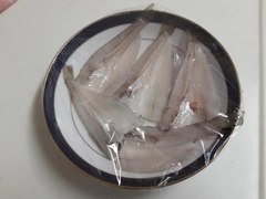 キスの釣果