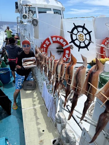 スルメイカの釣果