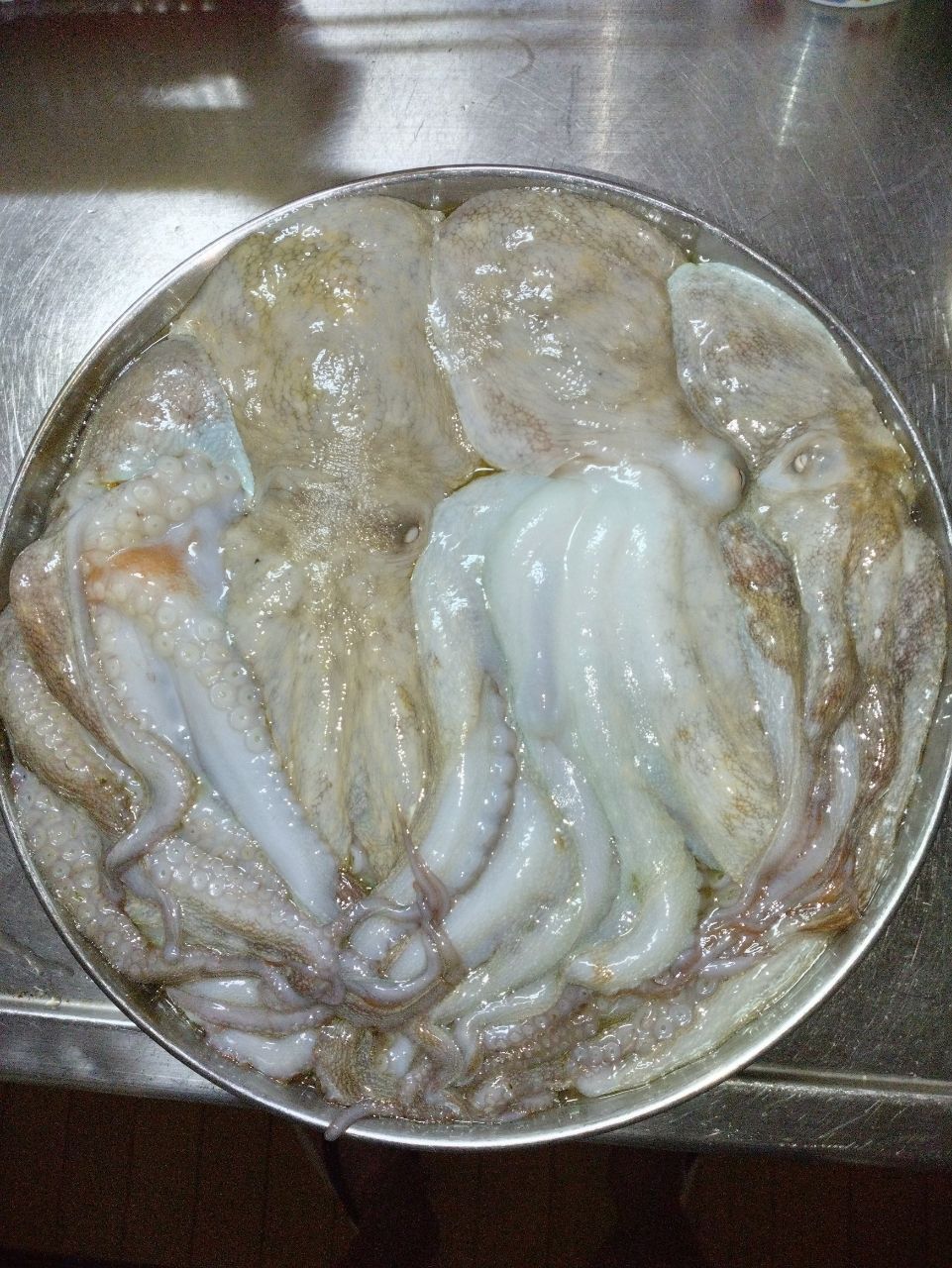 まぶ〜さんの釣果 1枚目の画像