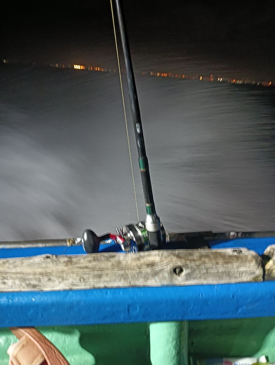 魚は刺身さんの釣果 3枚目の画像