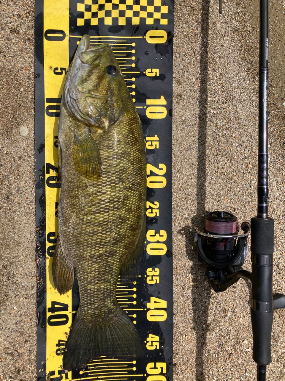 ロッド DAIWA - DAIWA HEARTLAND 772ML+FS-22 ダイワ(Daiwa) ハートランド 772ML+FS-22(スピニング・2ピース