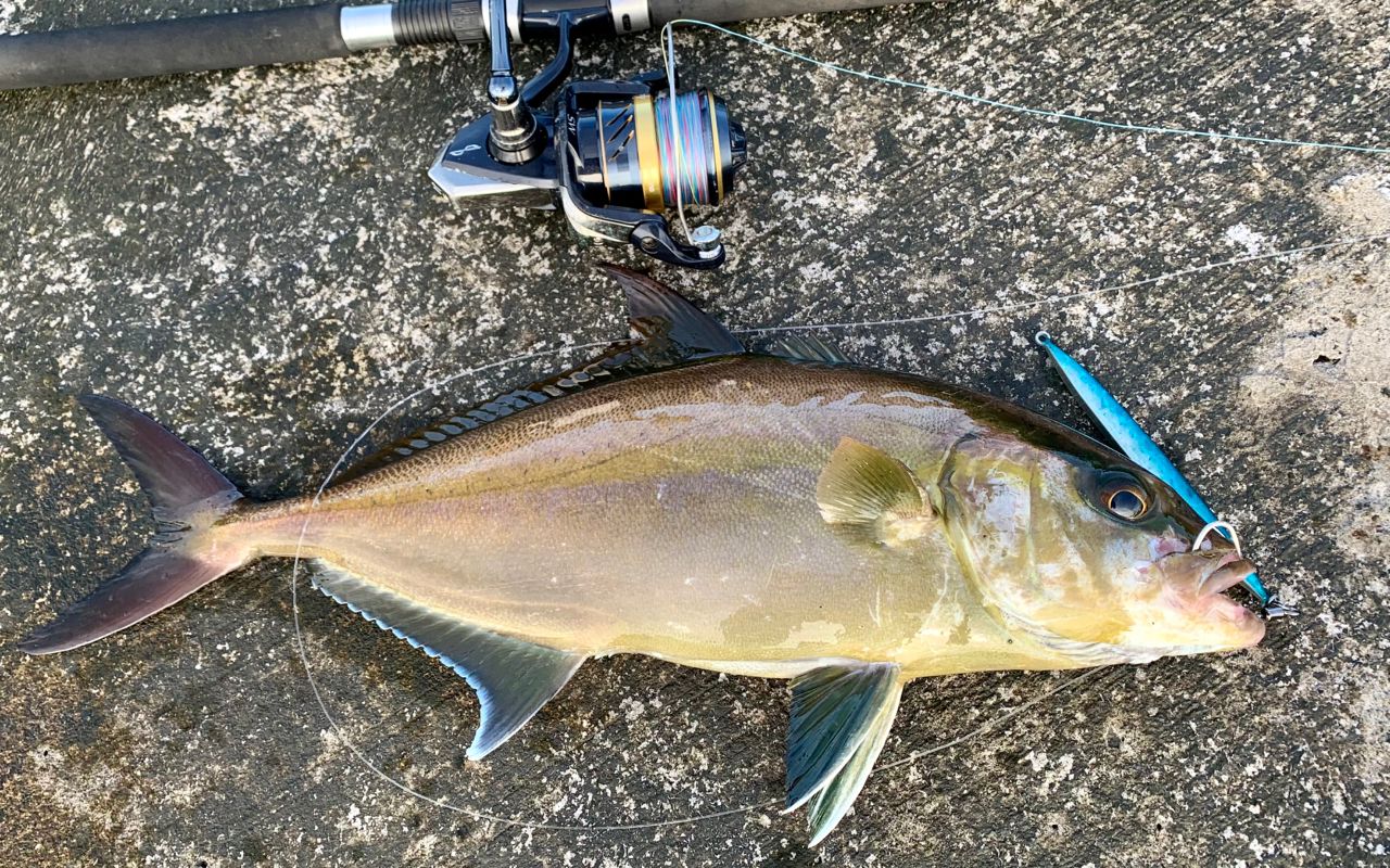 SHIMANO 23ルアーマチック（ソルトルアー推奨モデル） S100MHの