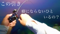 キジハタの釣果