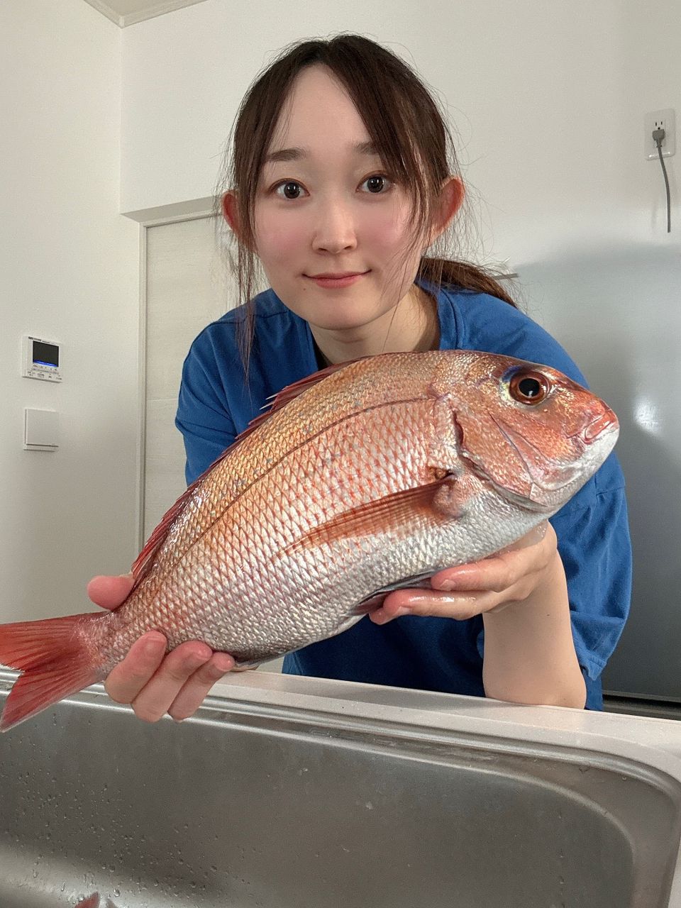 マダイ