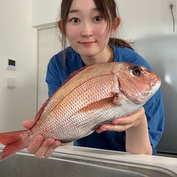マダイ