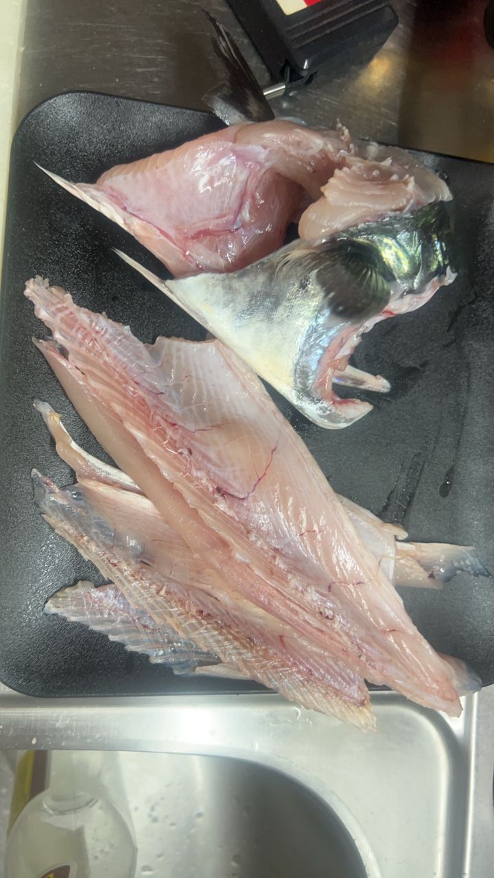 サワラ