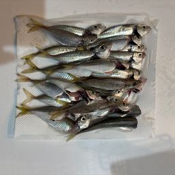 アジ