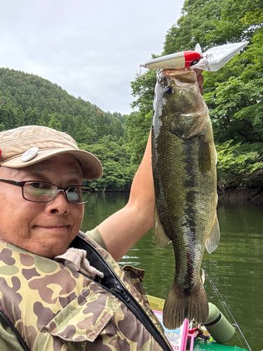 ラージマウスバスの釣果