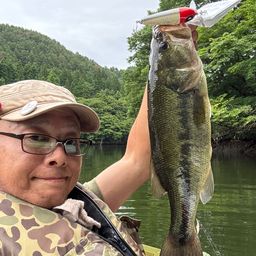 ラージマウスバス