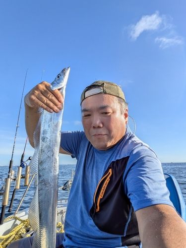 タチウオの釣果